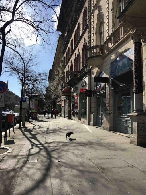 Downtown Island Of Peace By Nw Daire Budapeşte Dış mekan fotoğraf